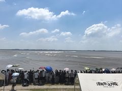 -观潮胜地公园