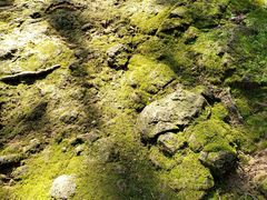 -梦姑塘文化公园