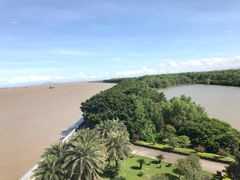 -大湾区中央湿地公园