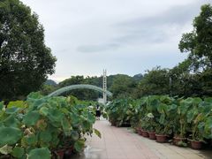 -南山植物园