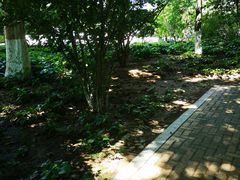 -春晖园度假酒店温泉