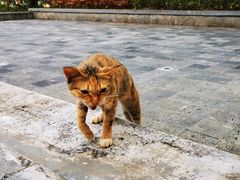 -西双版纳融创皇冠假日度假酒店