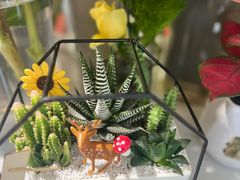 -MCJ-花店(西罗园店)