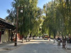 -张掖大佛寺景区