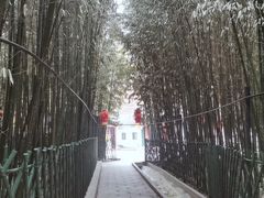 -红螺寺