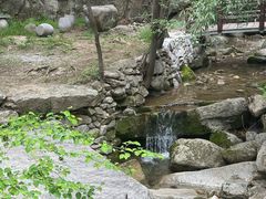 -王顺山国家森林公园
