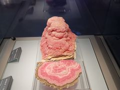 -安徽省地质博物馆