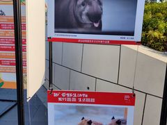 -武汉动物园