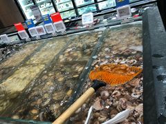 -盒马鲜生(王府广场店)