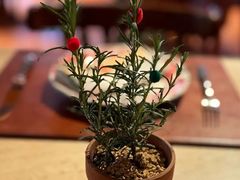 -Mammamia意大利餐厅(阳春巷店)