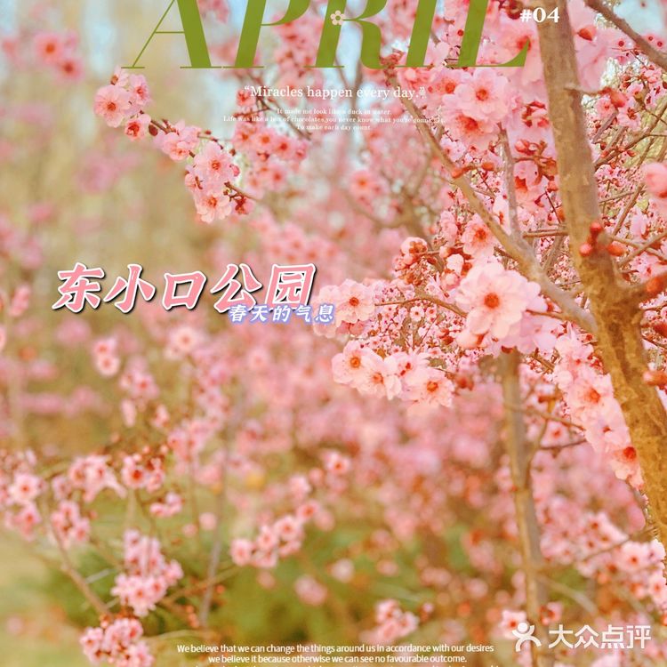你好 春天｜东小口森林公园[亲亲]