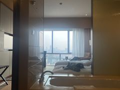 -南桥绿地铂骊酒店