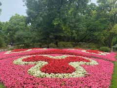 -上海共青森林公园