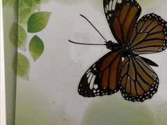 -上海昆虫博物馆