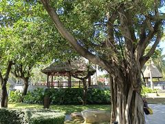 -海南清水湾莱佛士酒店