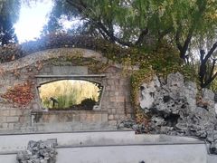 -团结湖公园