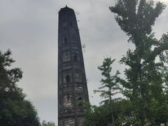 -上海佘山国家森林公园天马山园