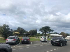 -Dooley's Premium Ice Cream