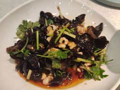 -洞庭家宴·头牌甲鱼(广渠门店)