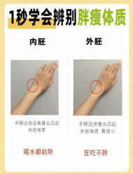 -Fundi张玉珊修身堂·indiba·BTL科技瘦身