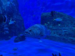 -石家庄极地海洋世界