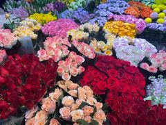 -双季花艺园艺市场(浦东店)