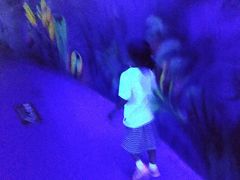 -苏州海洋馆