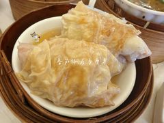 -美心皇宫(屯门大会堂店)