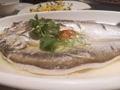 -新梅华(太仓万达店)