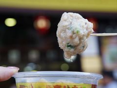 -无影脚佛山陈氏盲公丸始创店(飞鸿街店)