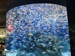 -成都浩海立方海洋公园