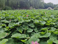 -莲池书院博物馆