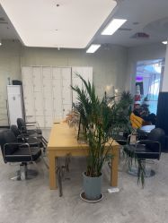 点击看大图 -慕名造型