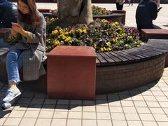 -星巴克(陆家嘴软件园店)