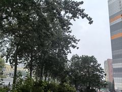 -呼家楼(地铁站)