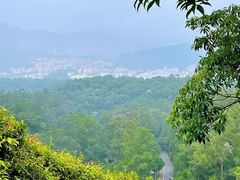 -火炉山森林公园