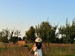 -汉长安城未央宫国家考古遗址公园