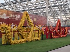 -南宫五洲植物乐园