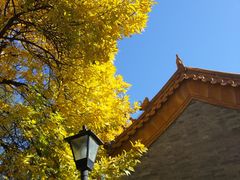 -黄瓦增福财神庙