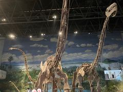 -自贡恐龙博物馆