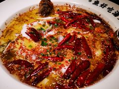-首秀·四川料理(星耀101店)
