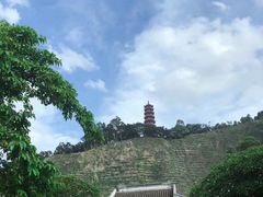 -大湾区中央湿地公园