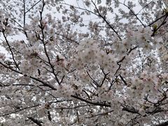 -白塘生态植物园
