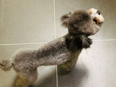 -沐沐家宠物(成寿寺店)