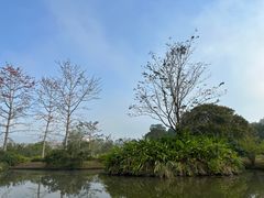 -中国科学院西双版纳热带植物园