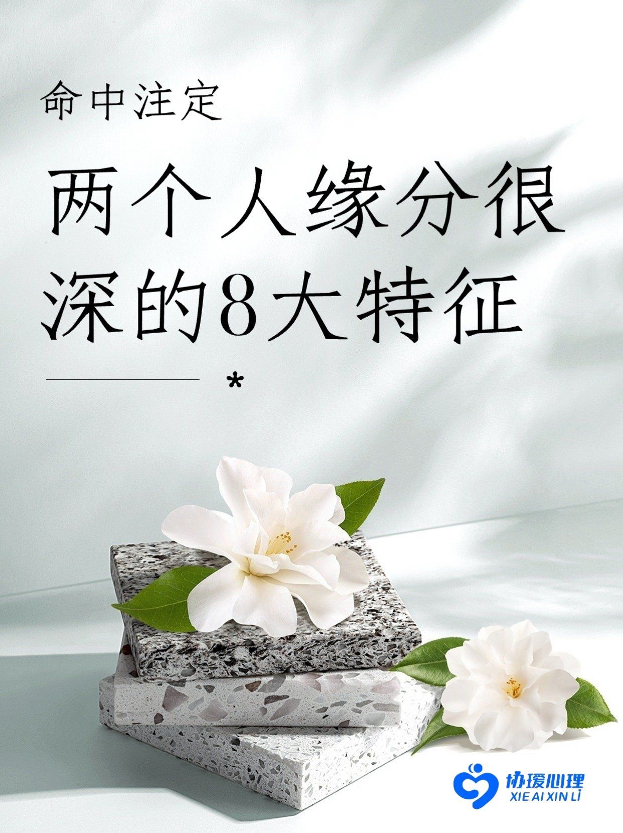 遇见的都是天意