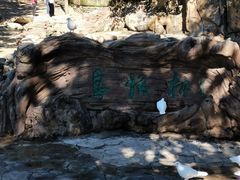 -燕塞湖鸟语林景区