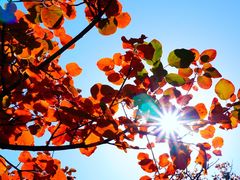 -北京西山国家森林公园