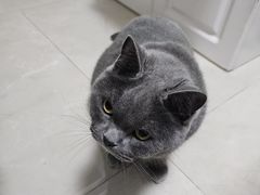 -FAELING PETS美天灵宠物(富力广场店)