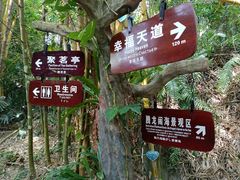-呀诺达热带雨林